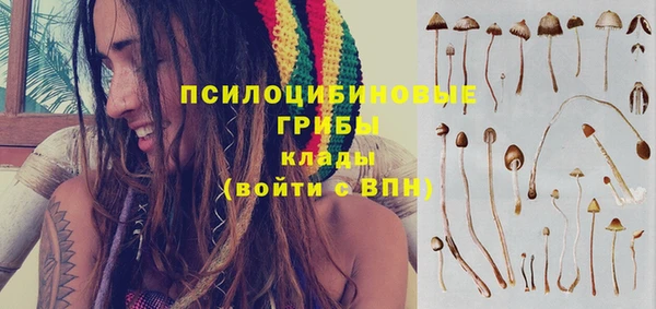 2c-b Бронницы