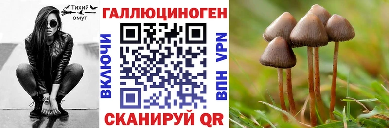Купить  Кукмор  Псилоцибиновые грибы MAGIC MUSHROOMS 